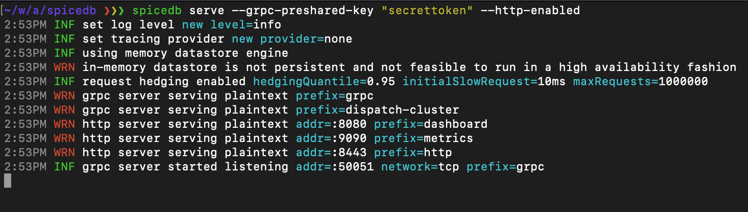 A screenshot of SpiceDB start up logs