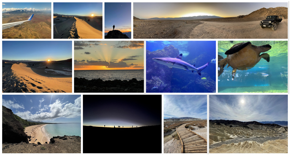 Collage of PTO landscapes