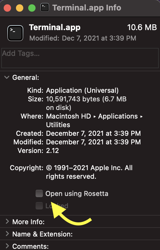 Select Open in Rosetta